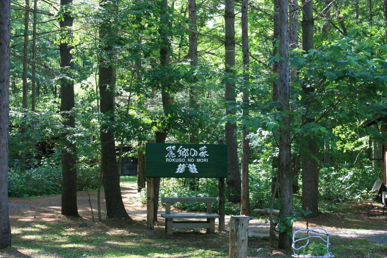 🌲 로쿠고 숲(로쿠고노모리) 이미지 5